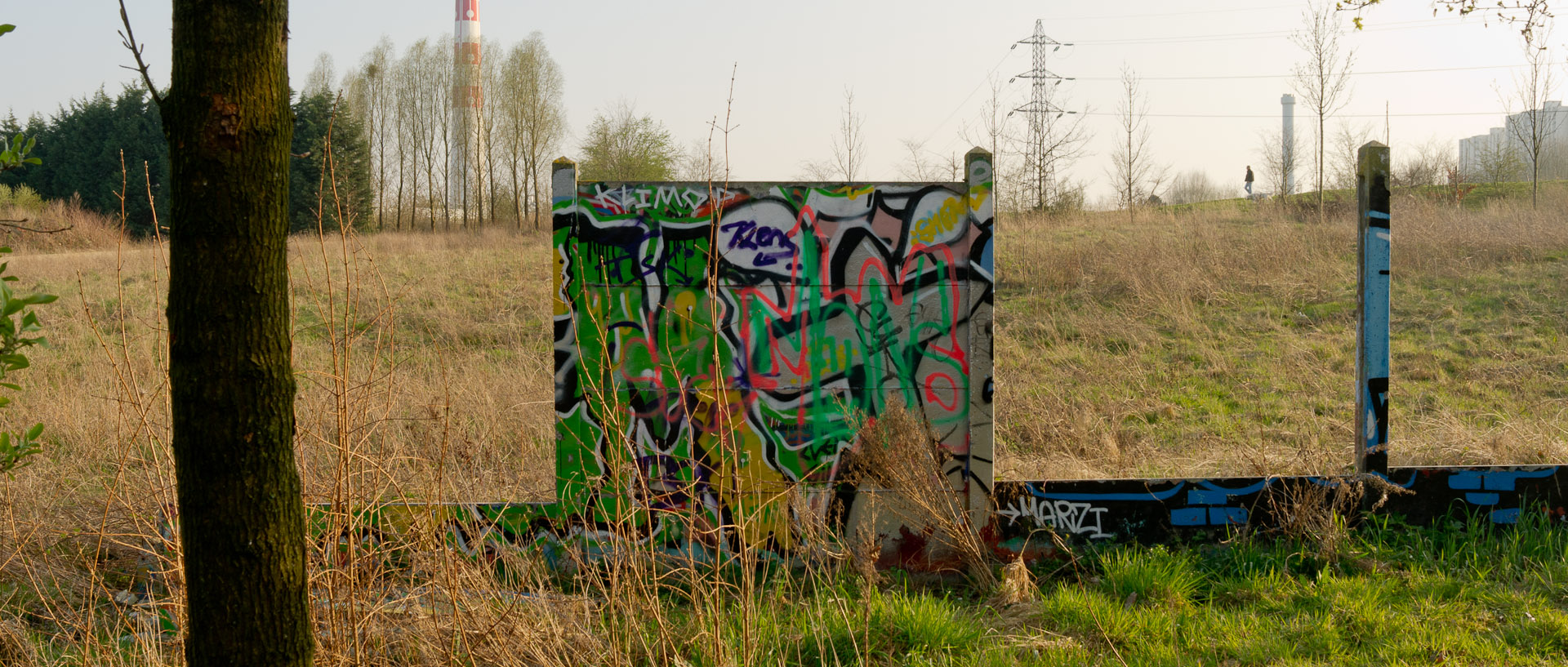 Terrain vague, à Villeneuve d'Ascq.