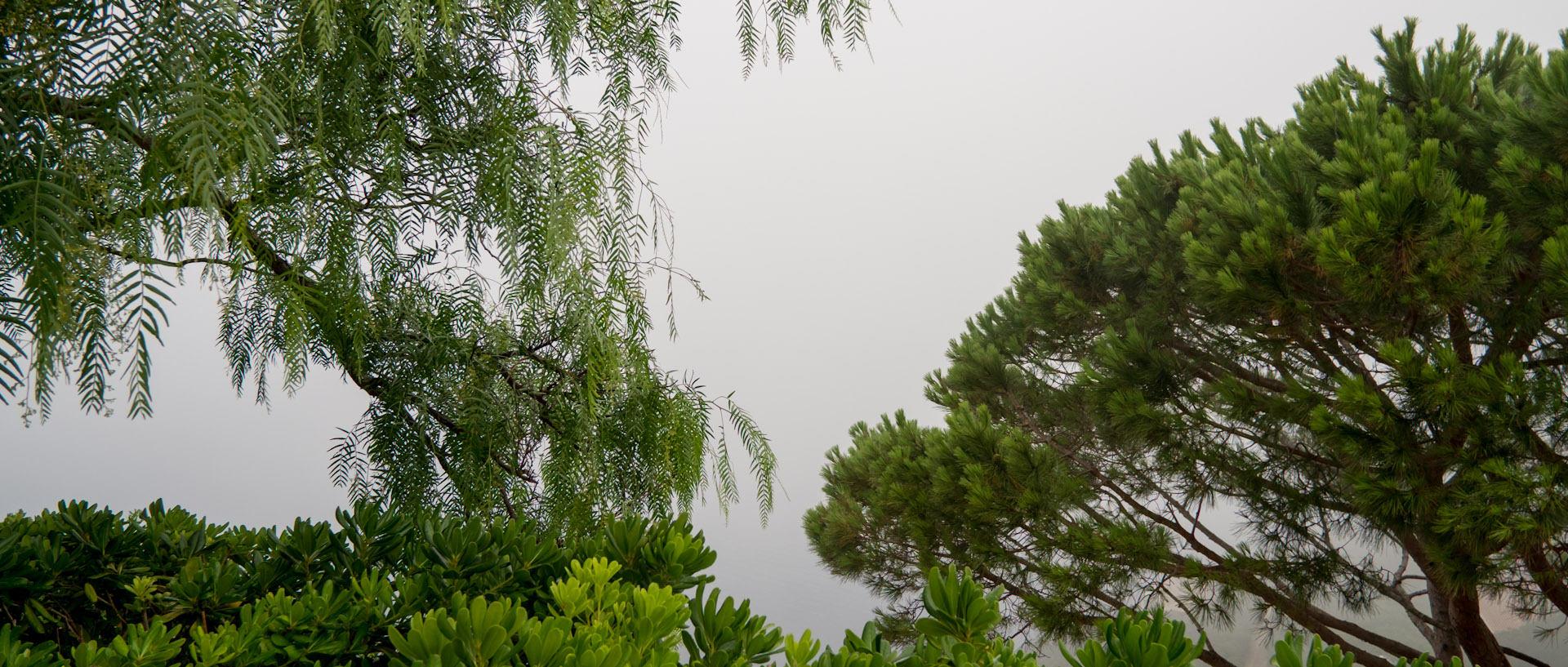 Matin gris à l'île du Levant.