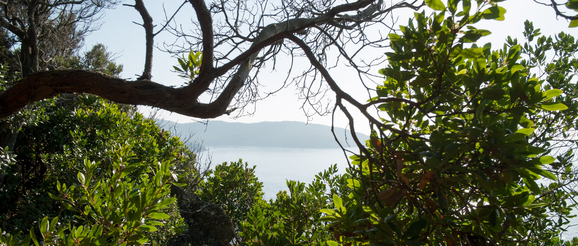 Paysage à l'île du Levant.