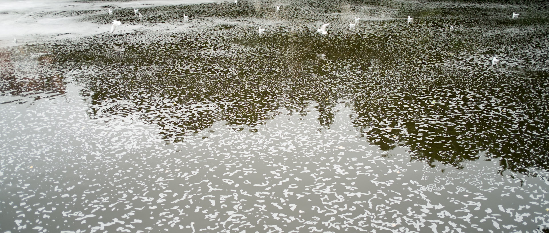 Eaux sales du canal de Roubaix, à Marquette lez Lille.