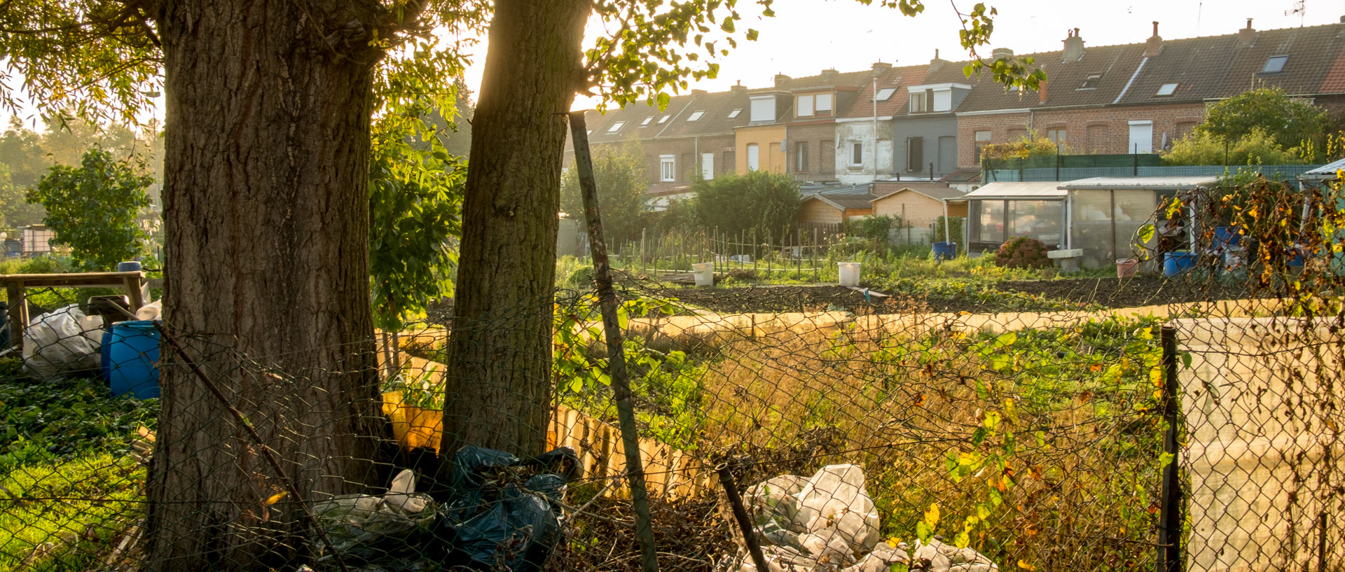 Jardins ouvriers, à Croix.