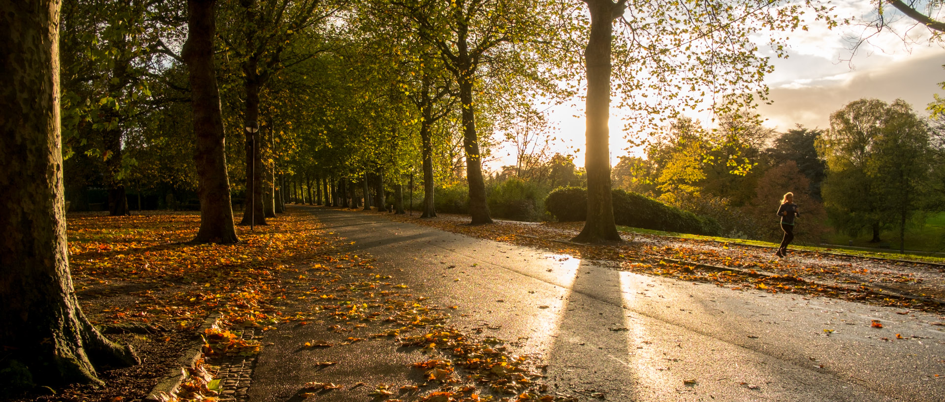 Femme courant le long du parc Barbieux, avenue Le-Nôtre, à Roubaix.