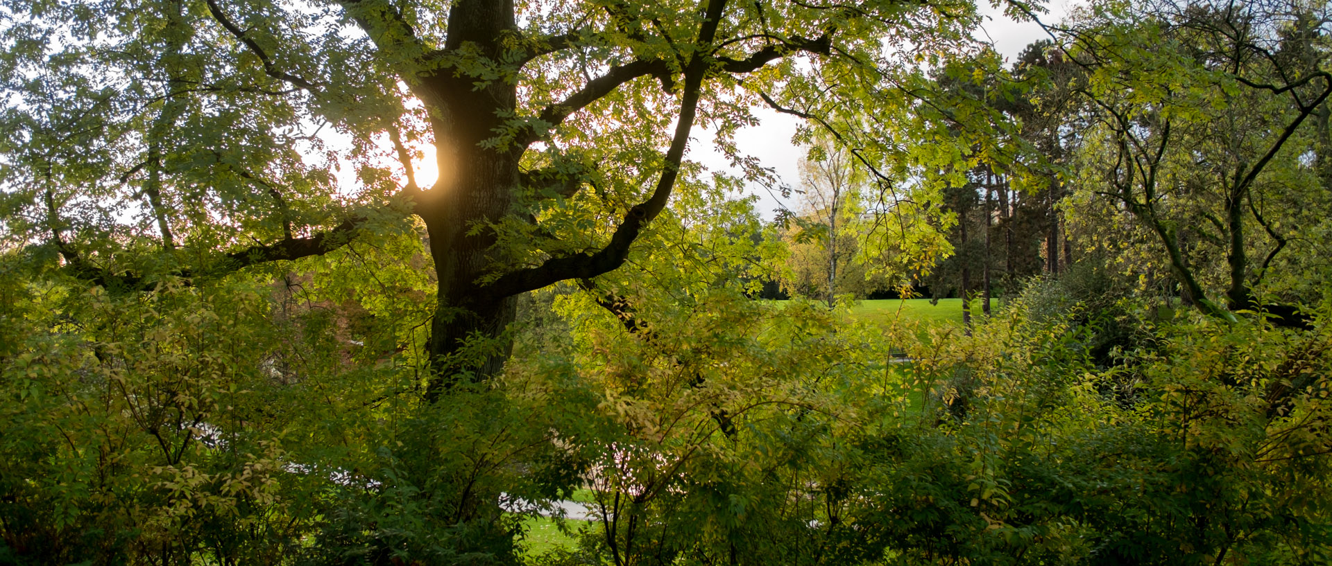 Le parc Barbieux, à Roubaix.