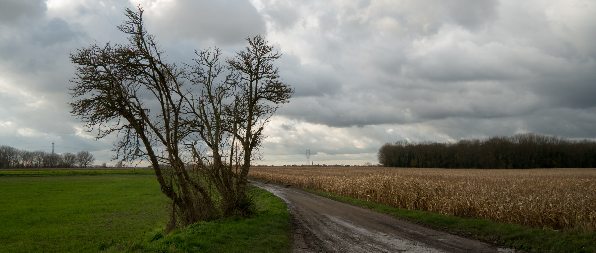 Campagne sous les nuages, à Seclin.