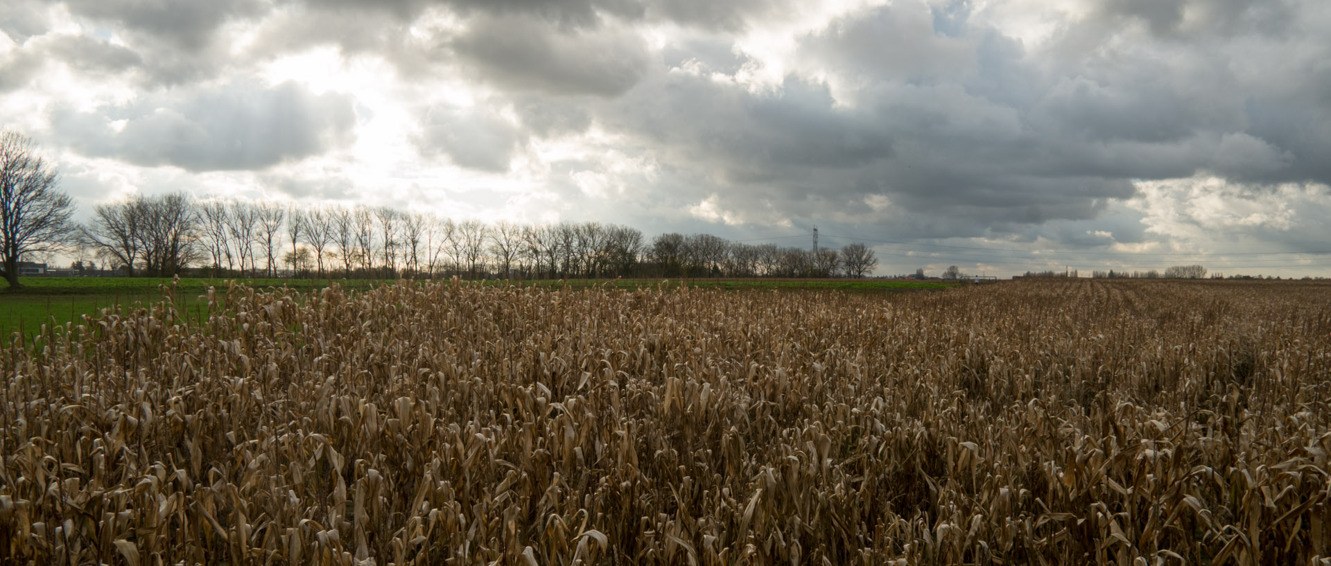 Campagne sous les nuages, à Seclin.