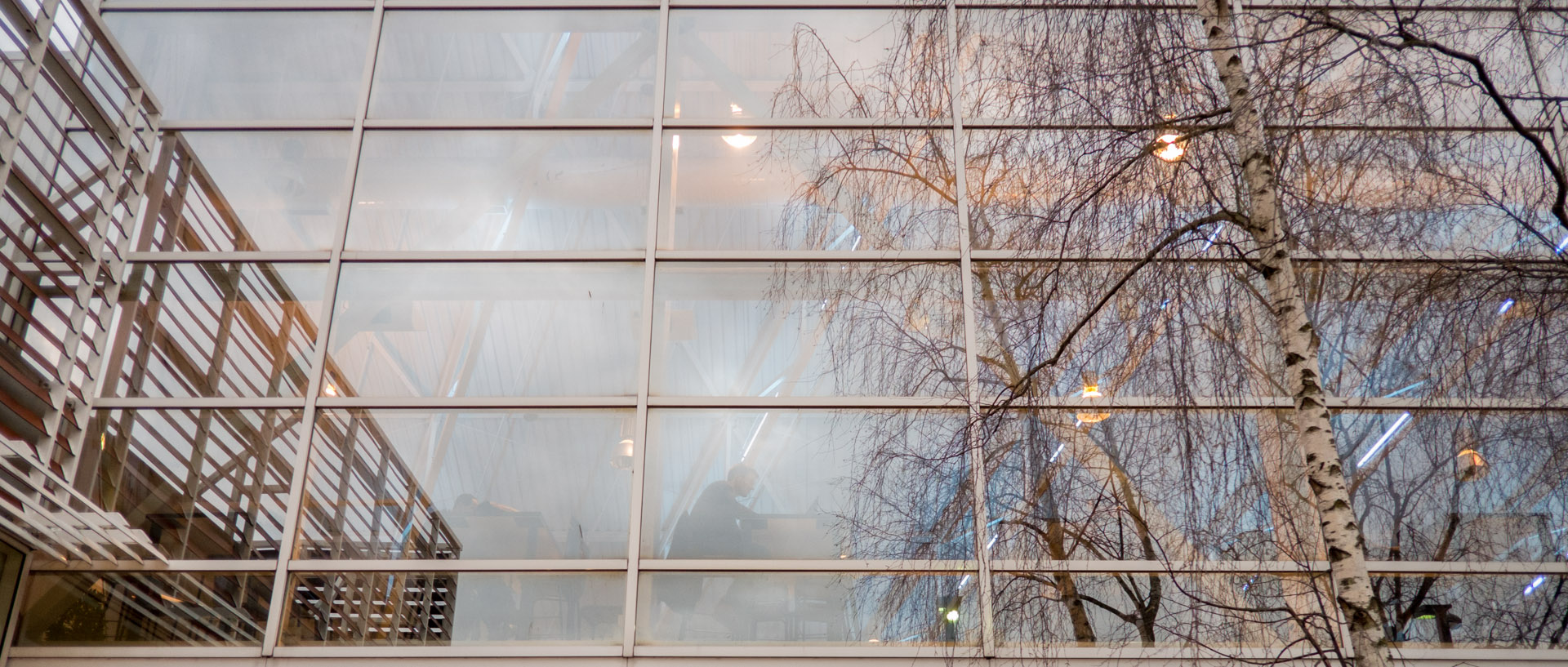 Reflet dans un verrière de Decathlon, à Villeneuve d'Ascq.