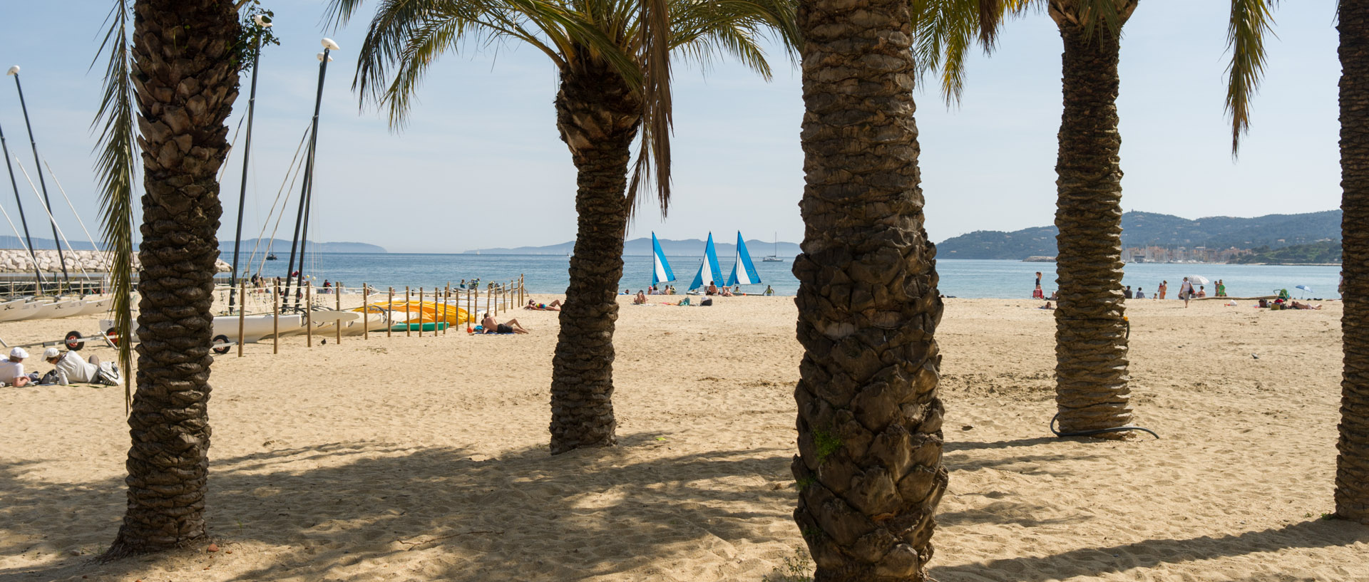 Palmiers sur la plage du Lavandou.