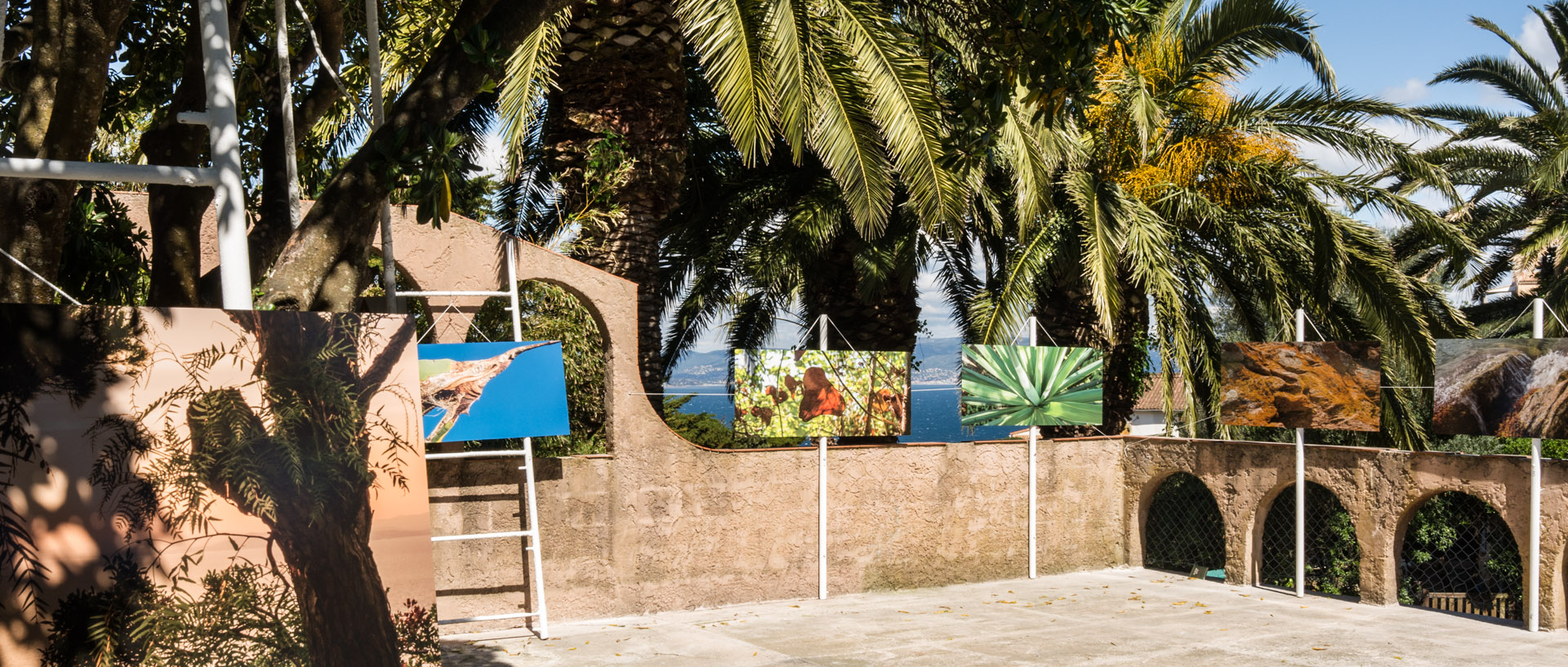 Exposition de photos de Jean Miaille, à l'île du Levant.