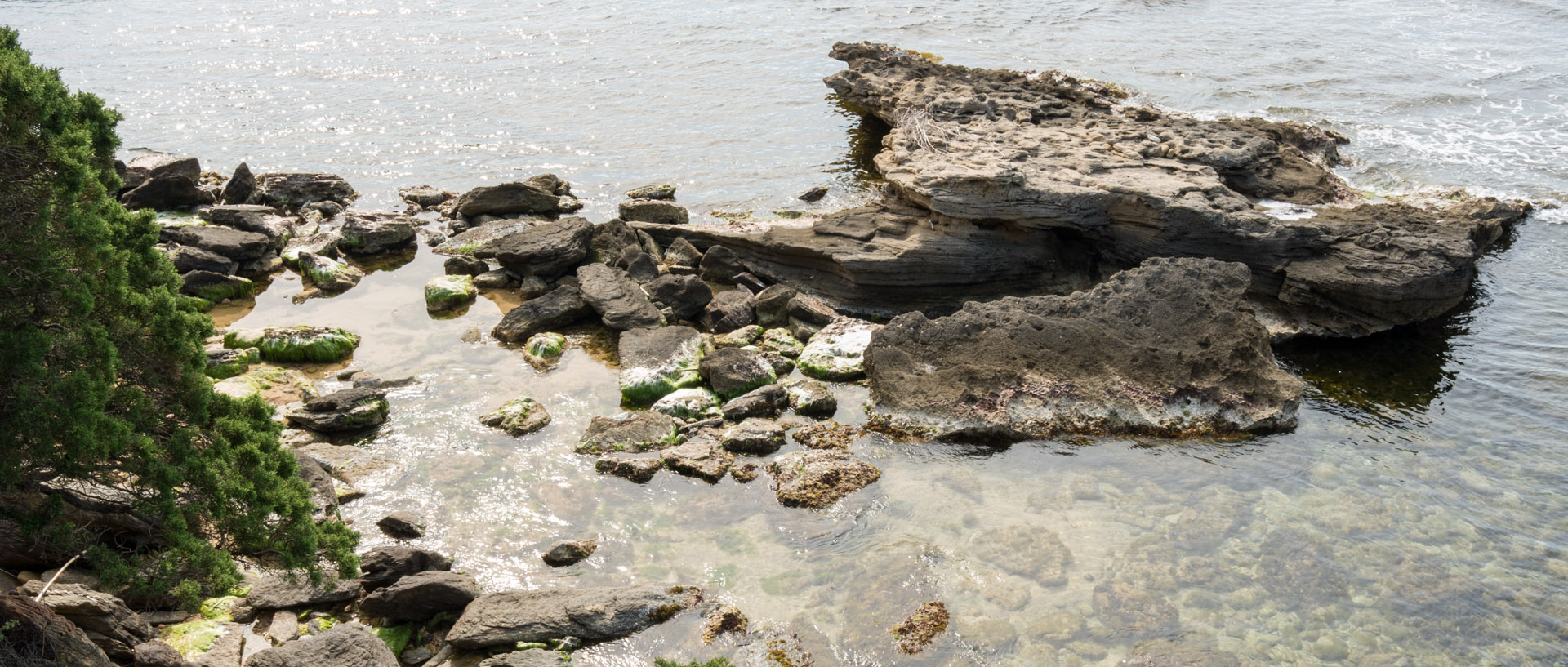 Rochers sur la mer, à l'île du Levant.