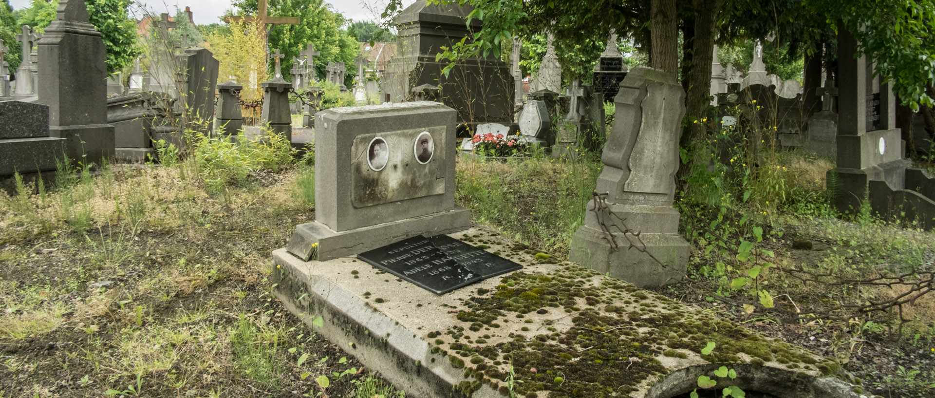 Vendredi 28 juin 2013, 15:43, cimetière, Wasquehal