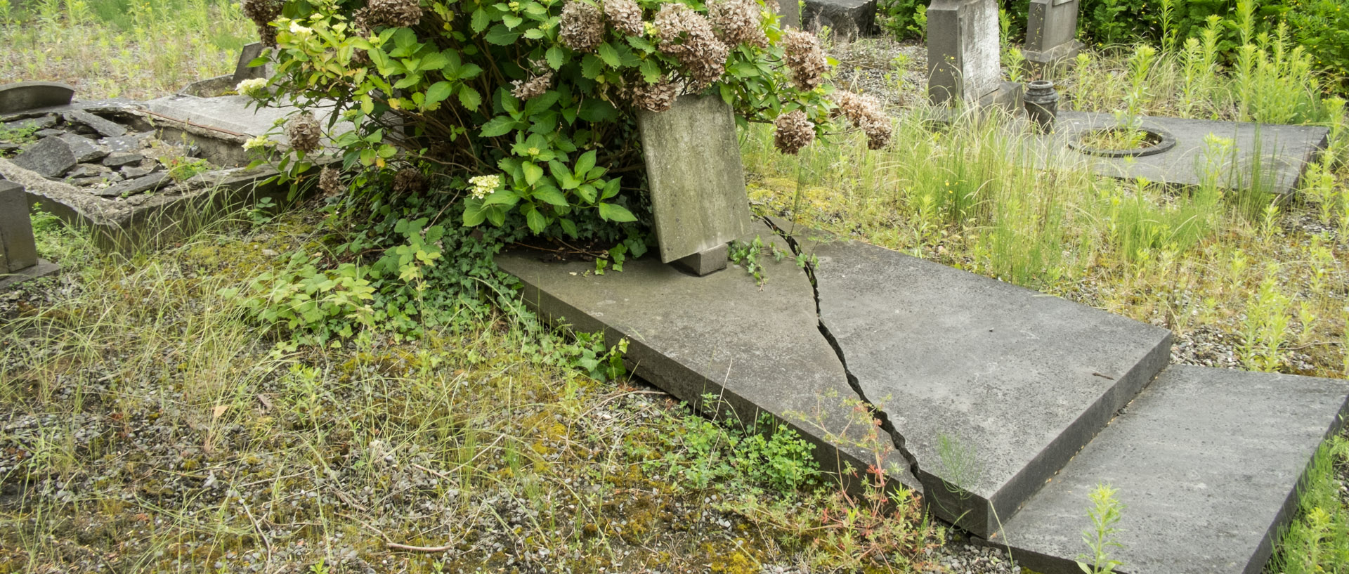 Vendredi 28 juin 2013, 16:03, cimetière, Wasquehal