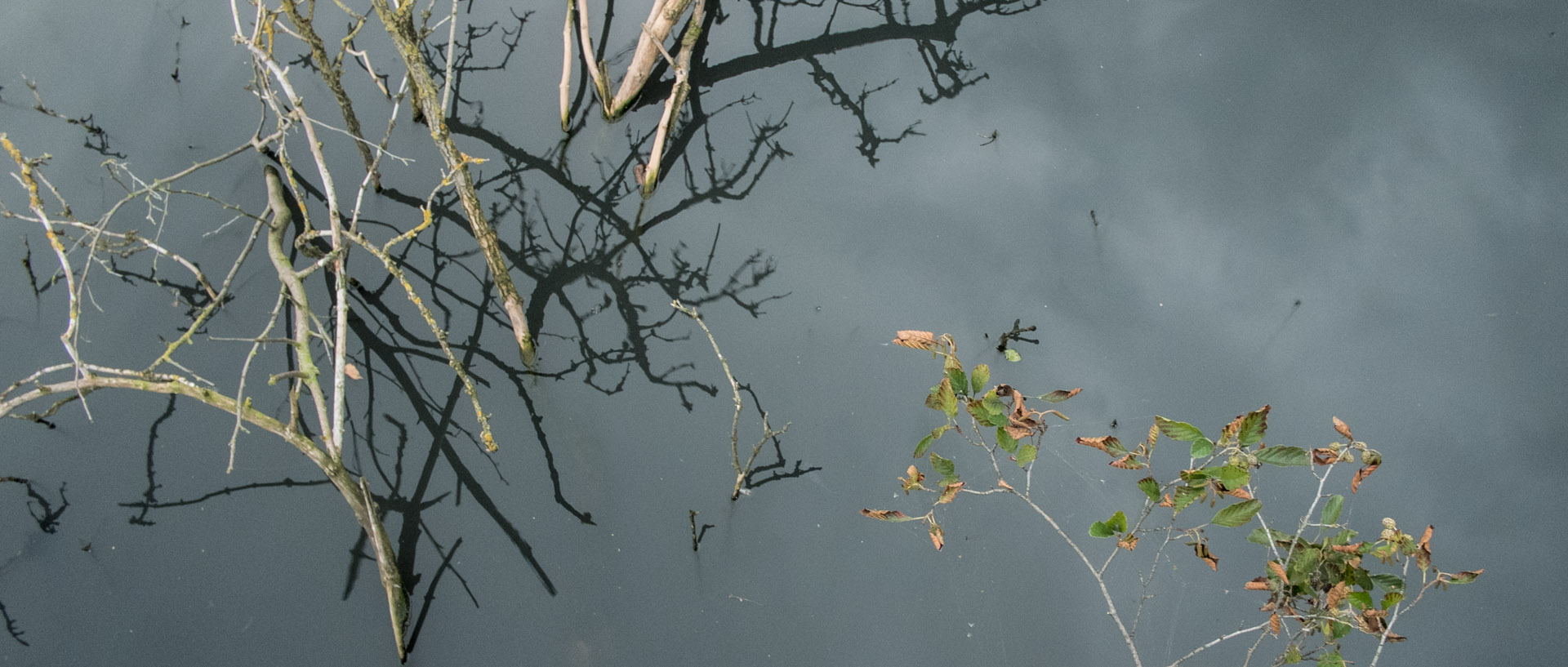 Jeudi 3 octobre 2013, 19:09, canal de la Marque, Wasquehal