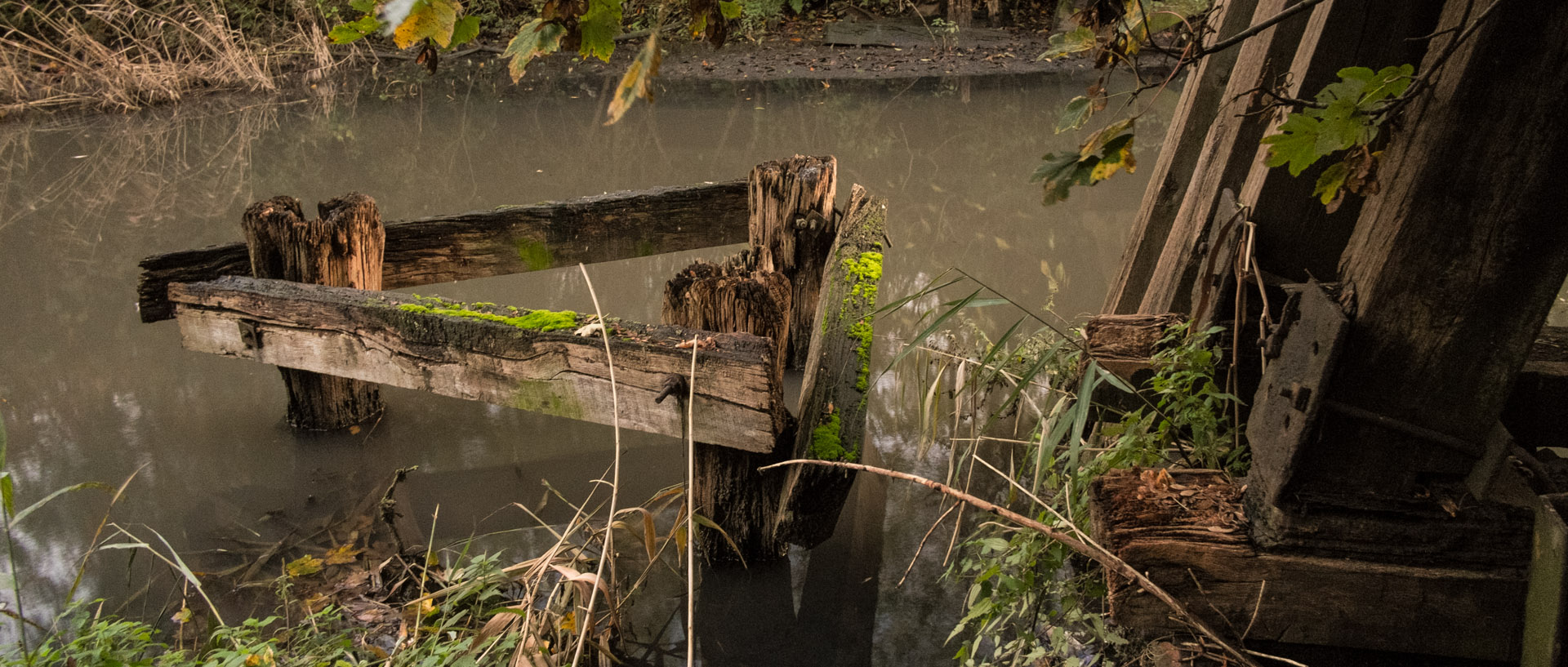 Mardi 29 octobre 2013, 17:40, canal de la Marque, Croix