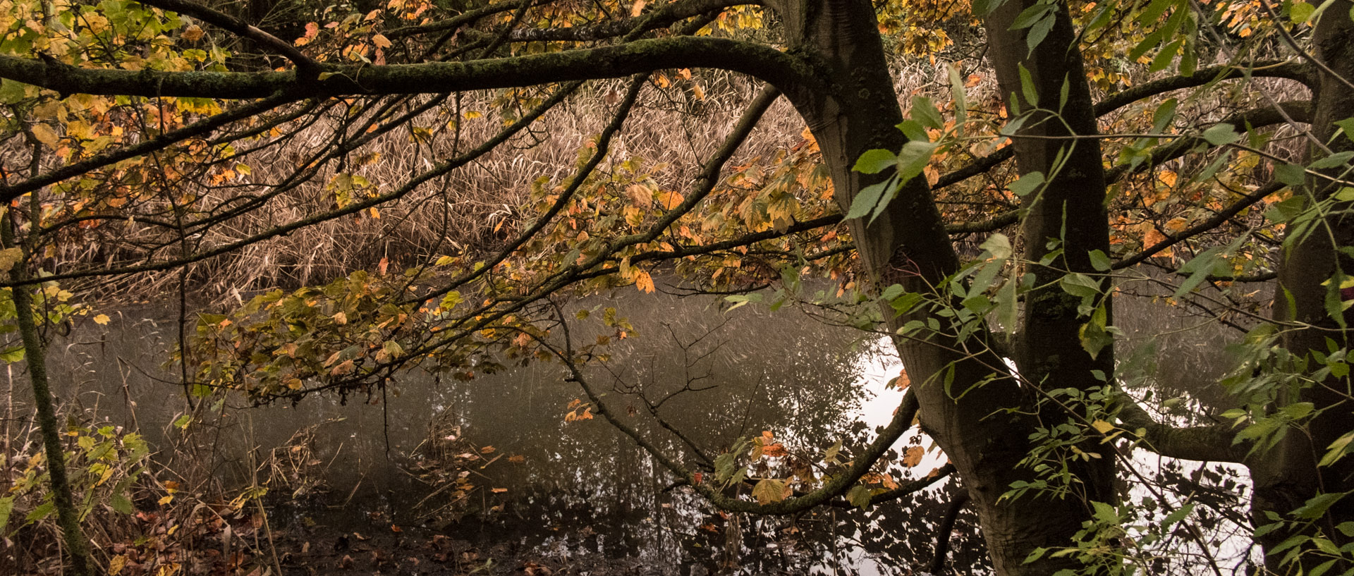 Mardi 29 octobre 2013, 17:43, canal de la Marque, Croix