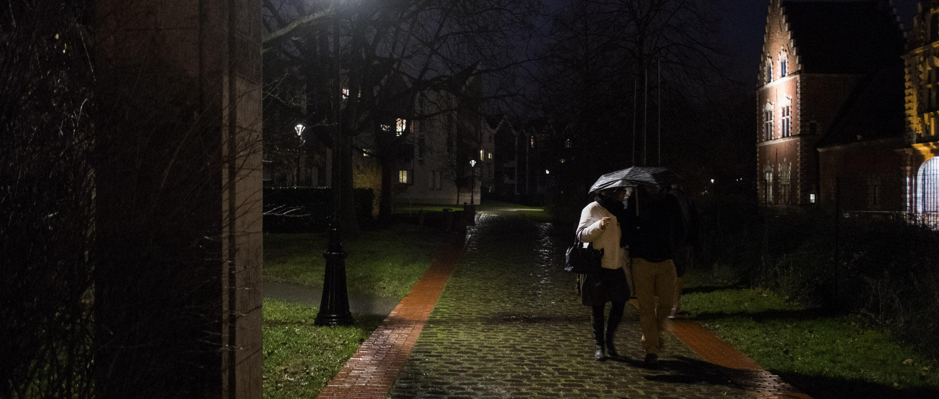 Samedi 21 décembre 2013, 17:37, château de Flers, Villeneuve d'Ascq