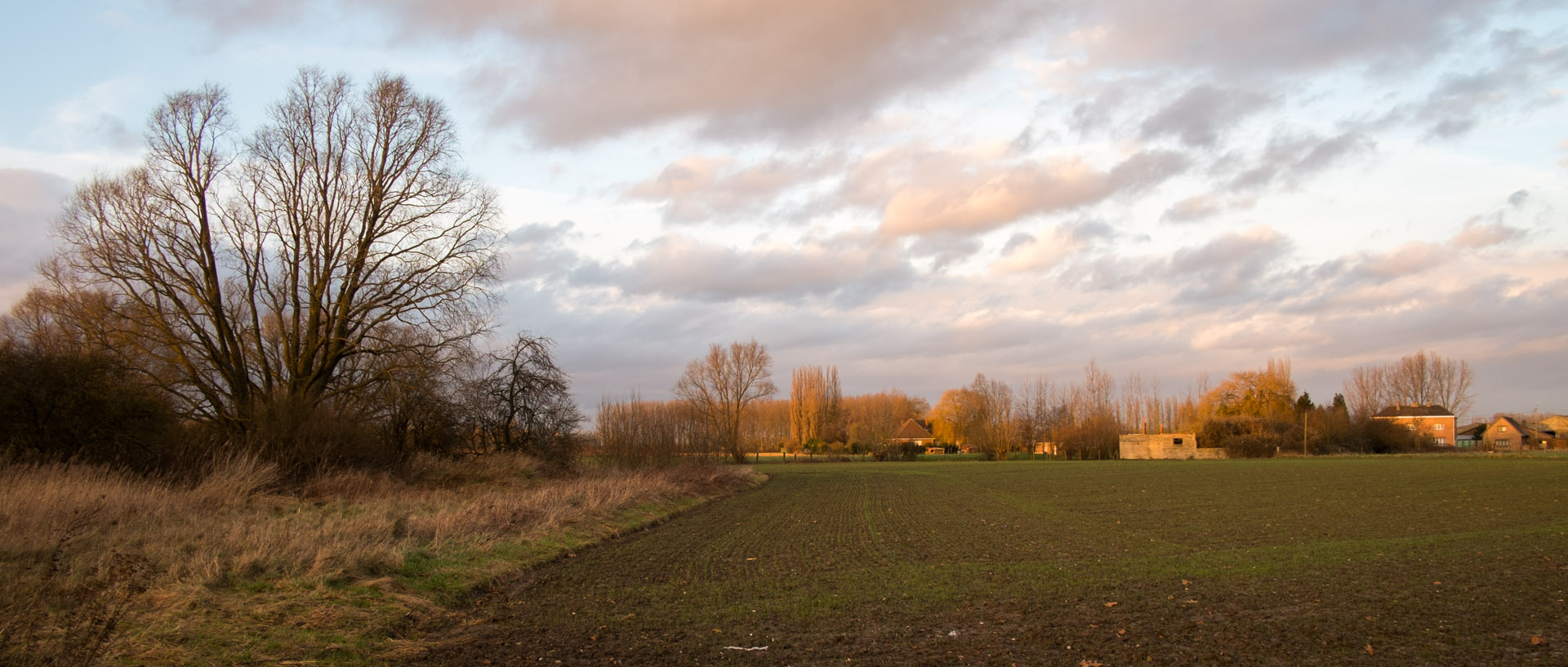 Mardi 7 janvier 2014, 16:38, boulevard de Bondues, Wambrechies