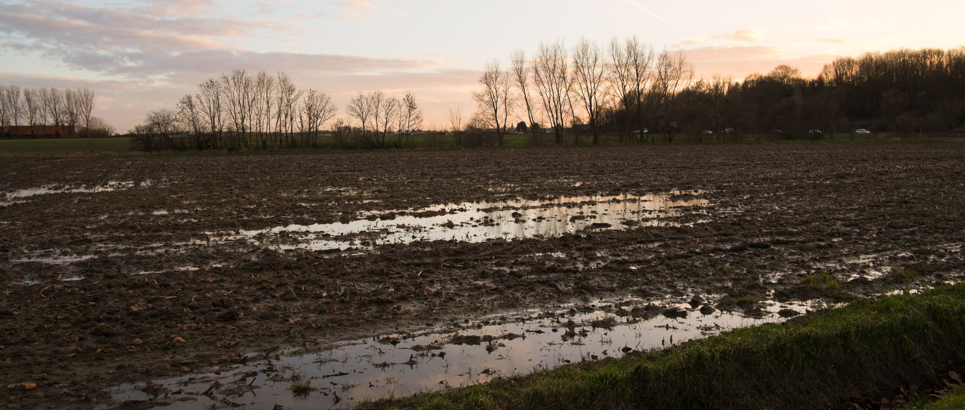 Mardi 7 janvier 2014, 16:40, boulevard de Bondues, Wambrechies