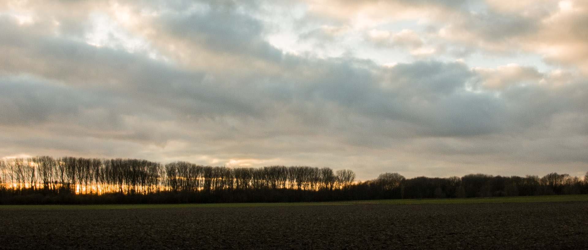 Mardi 14 janvier 2014, 16:30, Forest sur Marque