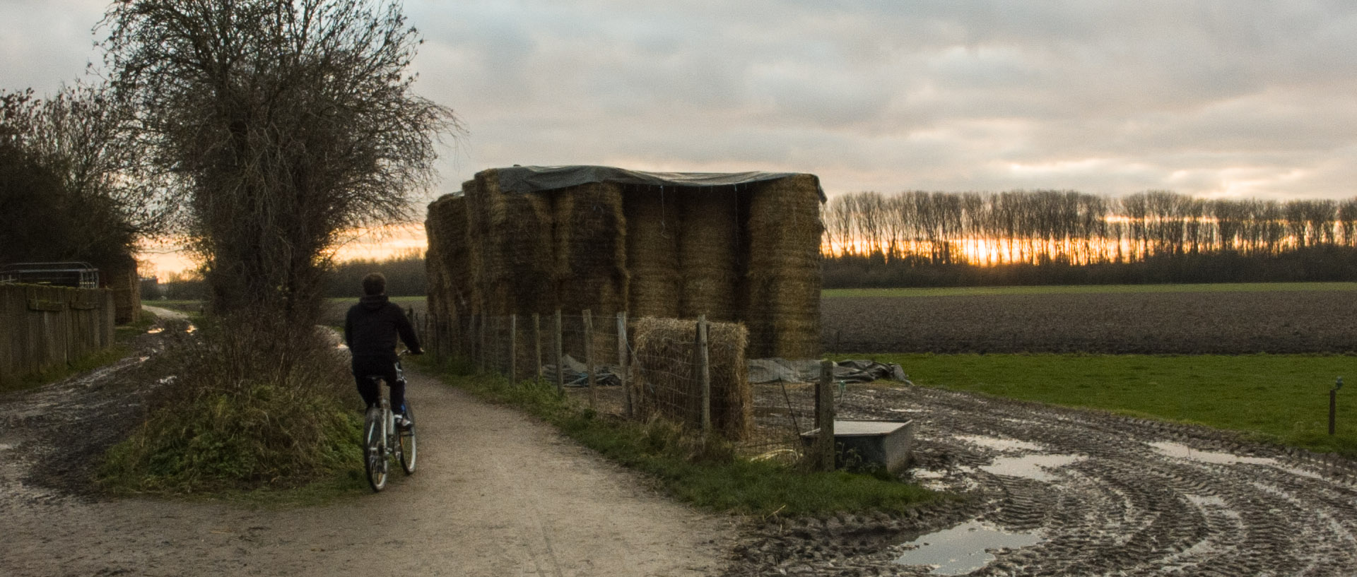 Mardi 14 janvier 2014, 16:32, Forest sur Marque