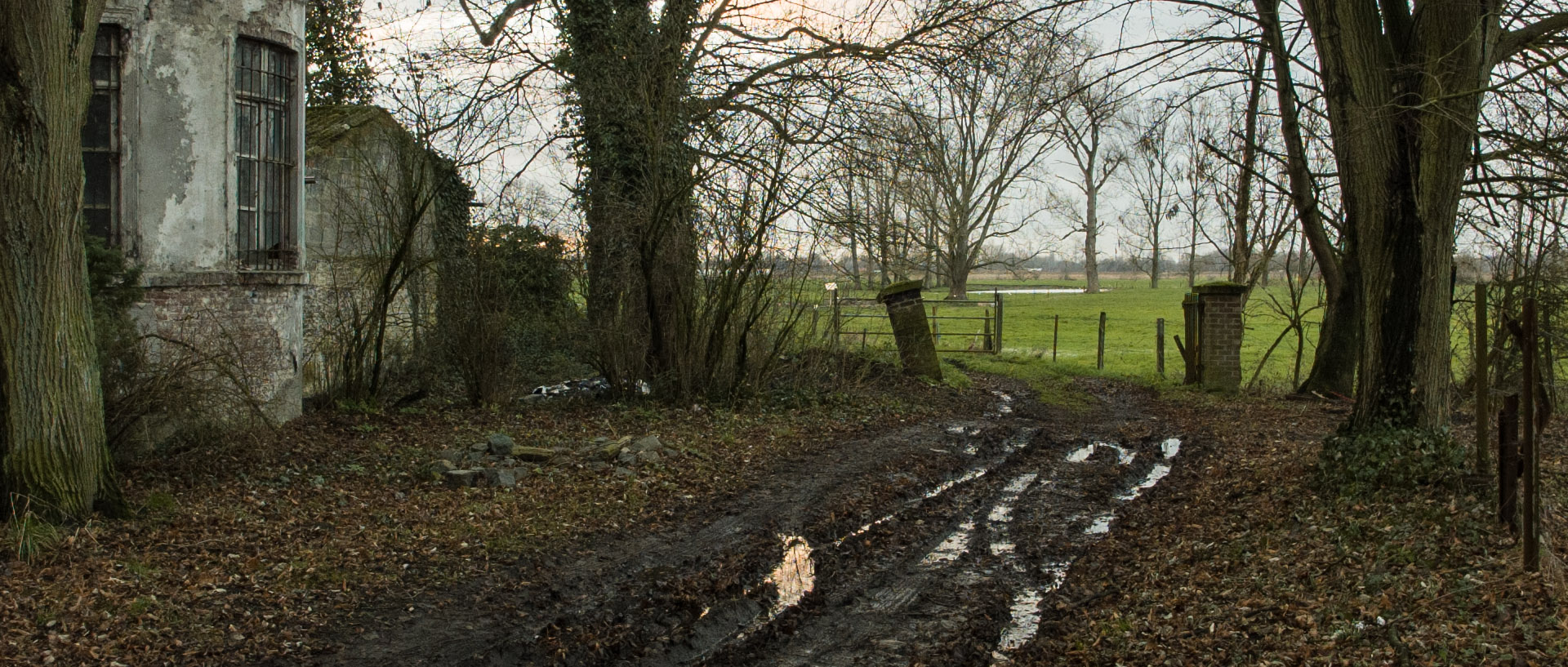 Mardi 14 janvier 2014, 16:43, Forest sur Marque