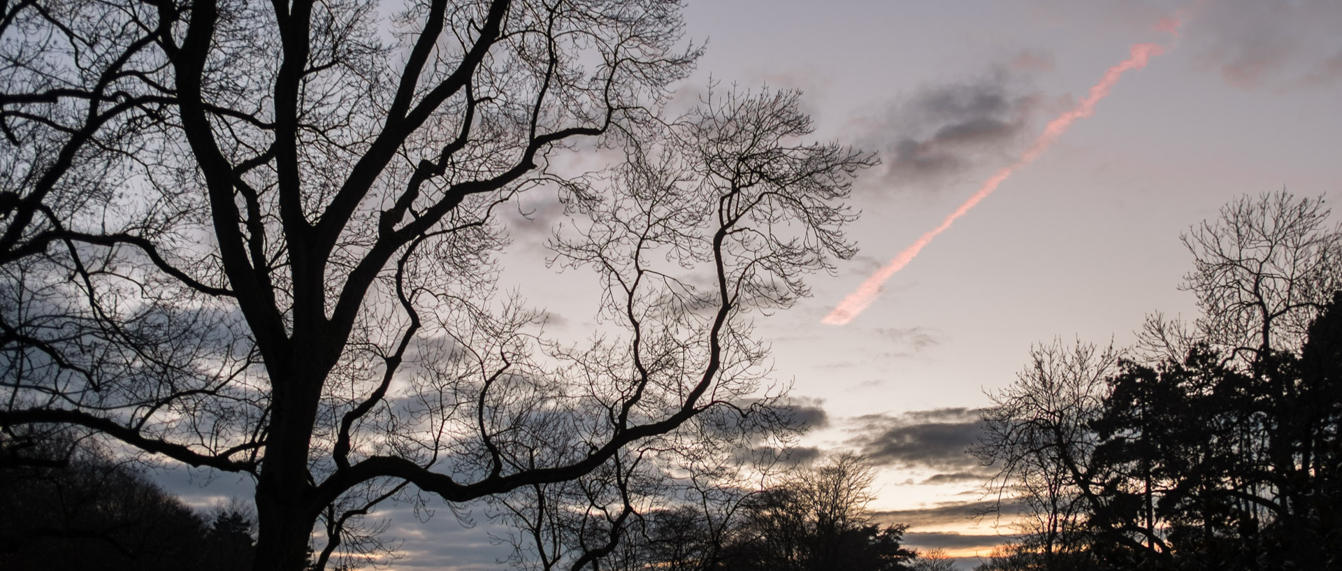 Dimanche 19 janvier 2014, 17:38, parc Barbieux, Roubaix