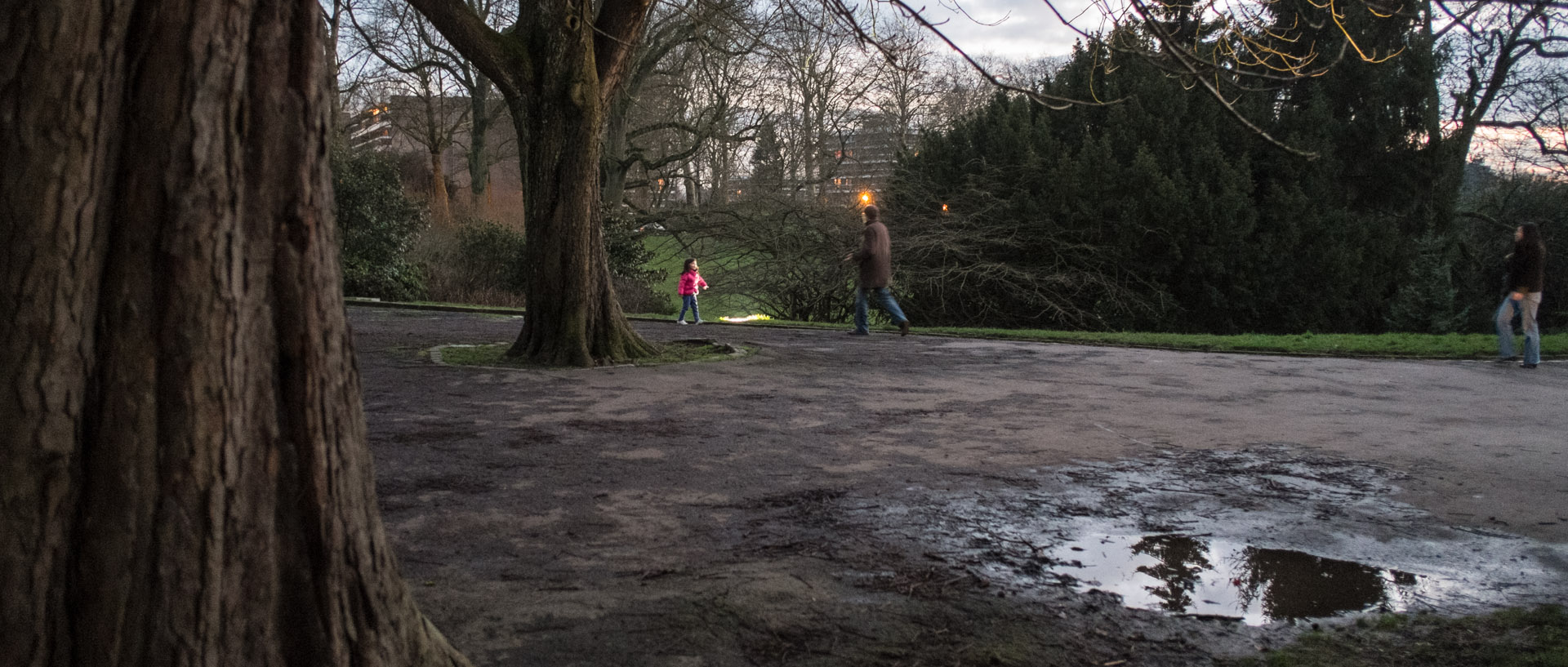 Dimanche 19 janvier 2014, 17:44, parc Barbieux, Roubaix