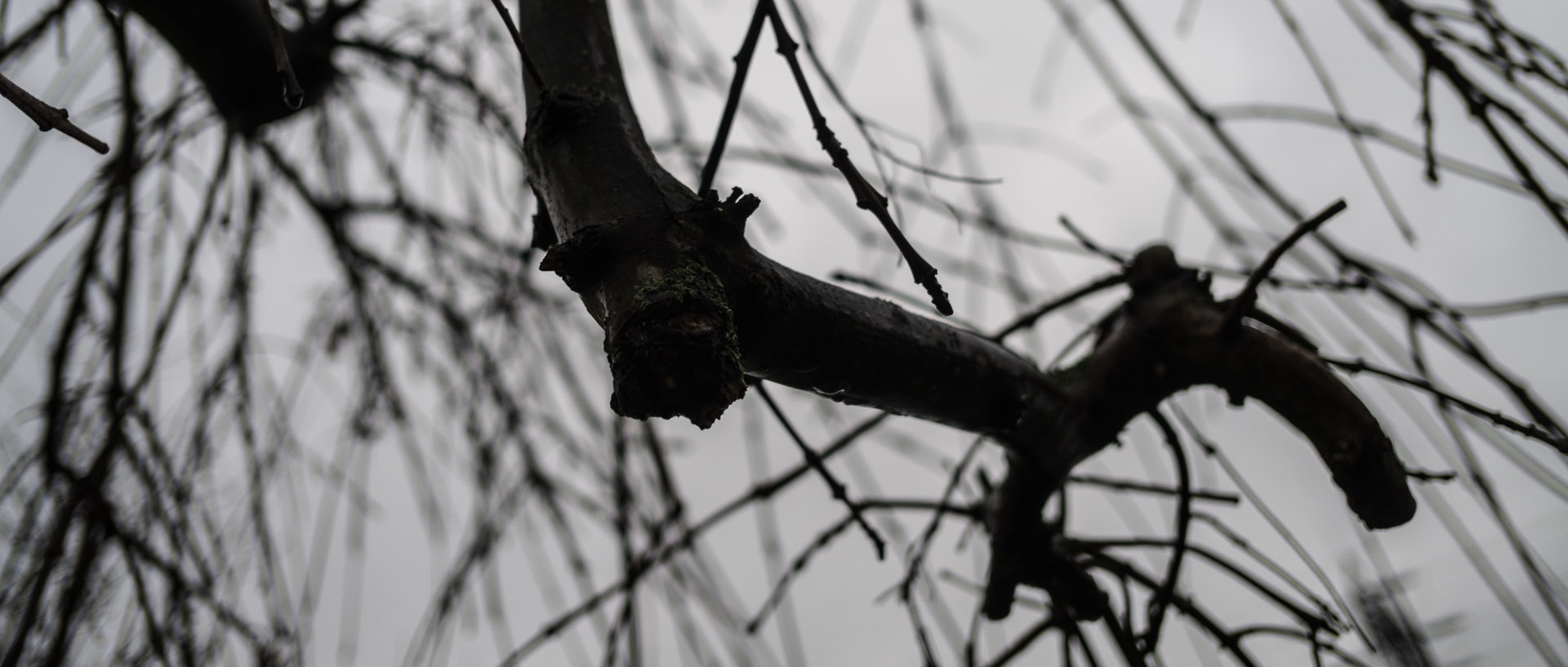 Jeudi 20 février 2014, 17:51, Wasquehal