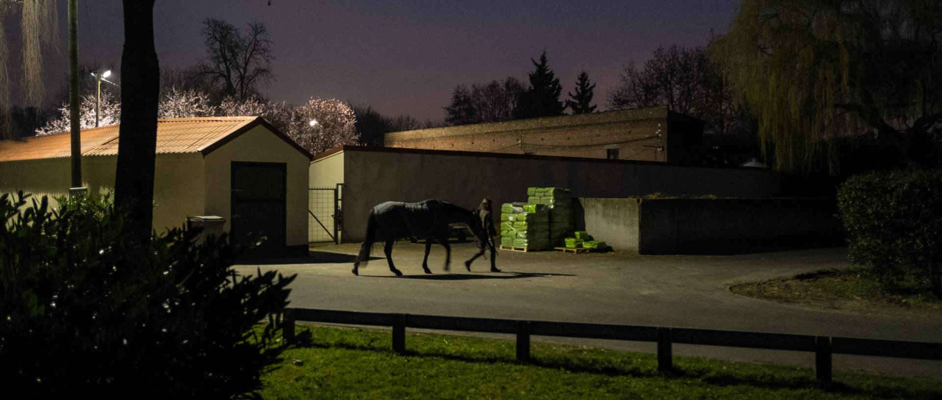 Lundi 17 mars 2014, 19:36, centre hippique, Villeneuve d'Ascq