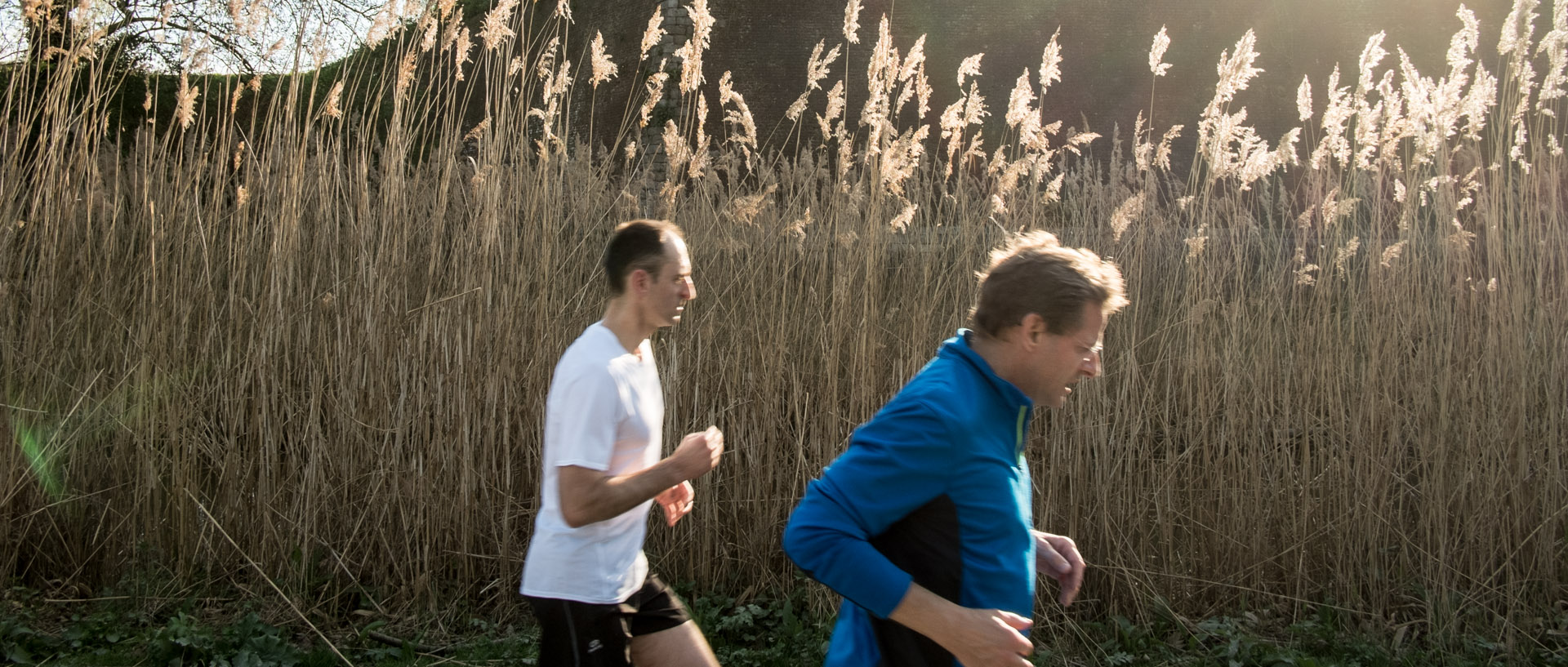 Samedi 5 avril 2014, 17:30, parc de la Citadelle, Lille