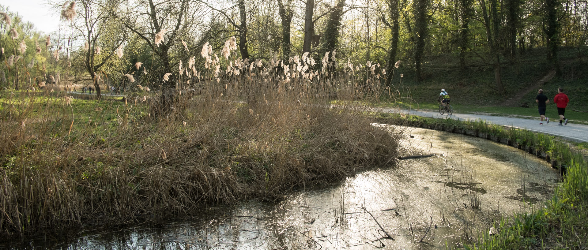 Samedi 5 avril 2014, 17:38, parc de la Citadelle, Lille