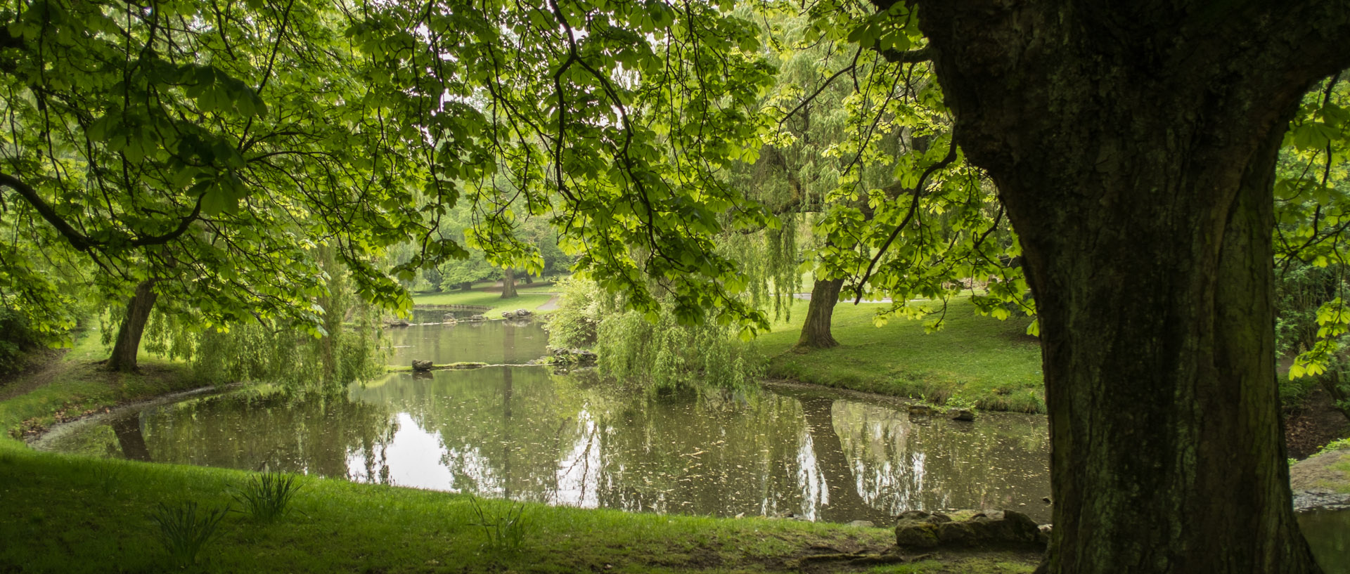 Vendredi 25 avril 2014, 20:00, parc Barbieux, Roubaix