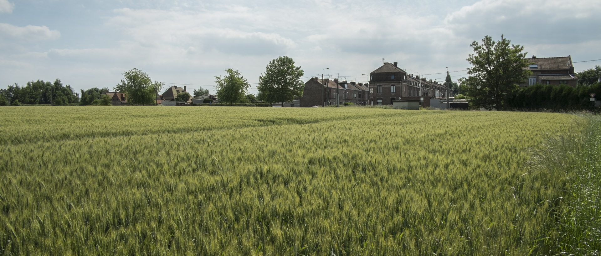 Vendredi 13 juin 2014, 15:54, Quesnoy sur Deûle