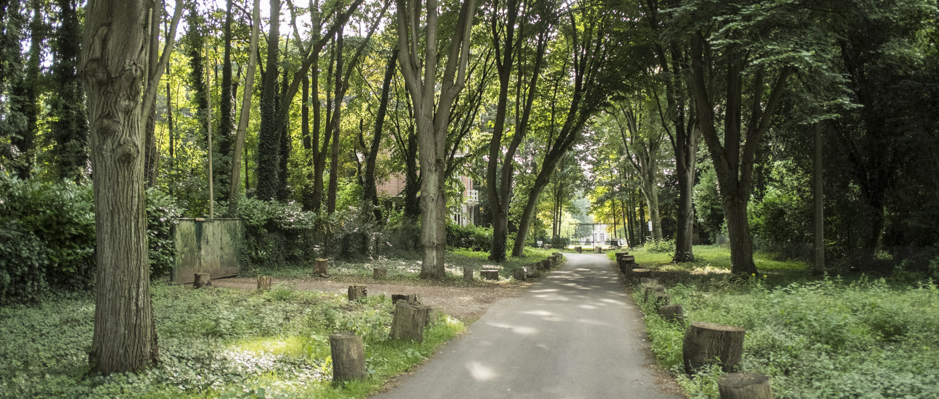 Jeudi 31 juillet 2014, 18:29, allée des Deux Lions, Croix