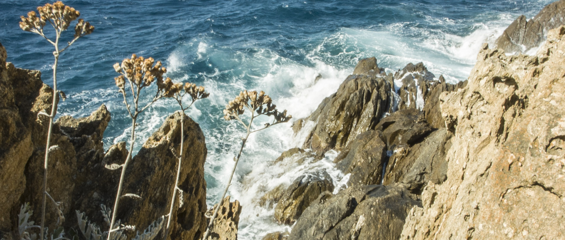 Jeudi 14 août 2014, 16:22, Ile du Levant