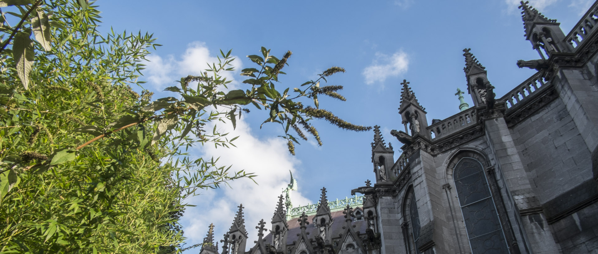 Mercredi 1er octobre 2014, 17:53, cathédrale de la Treille, Lille