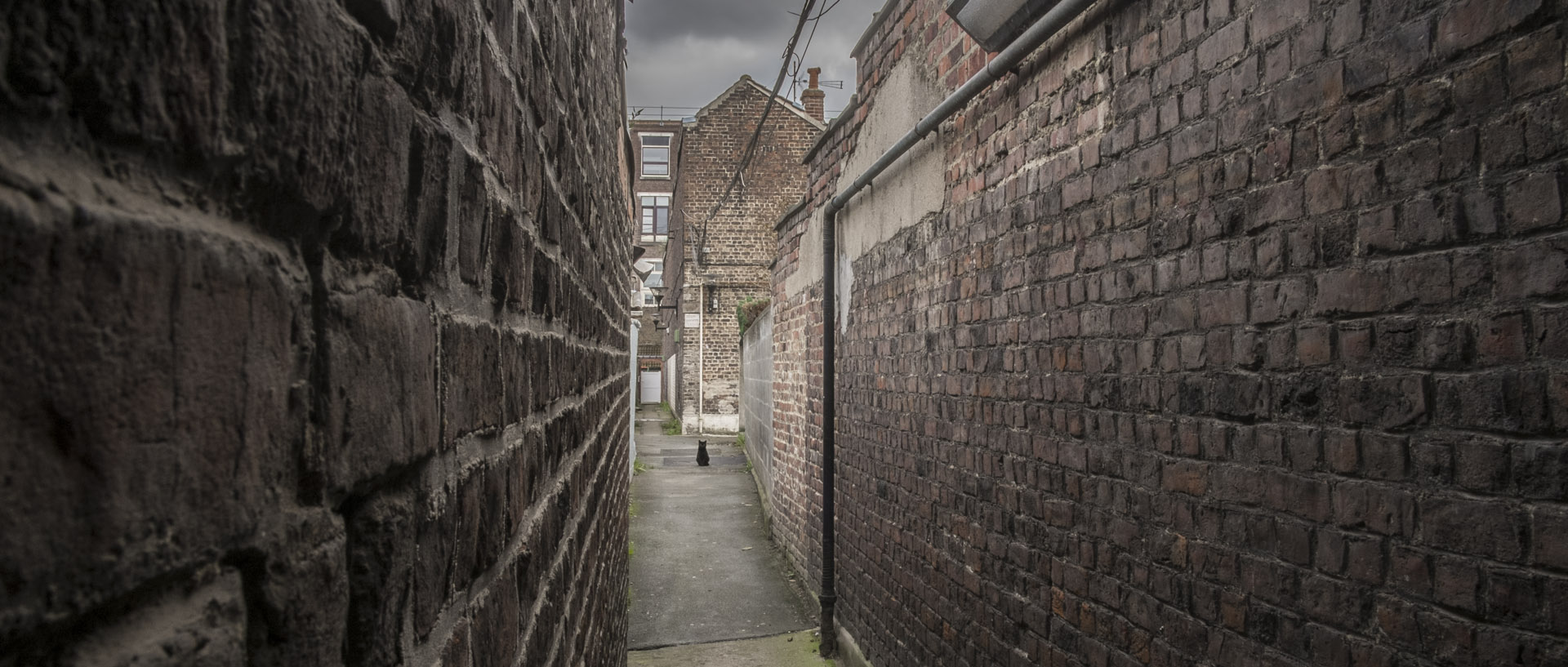 Vendredi 17 octobre 2014, 15:22, cour Vandamme, Tourcoing