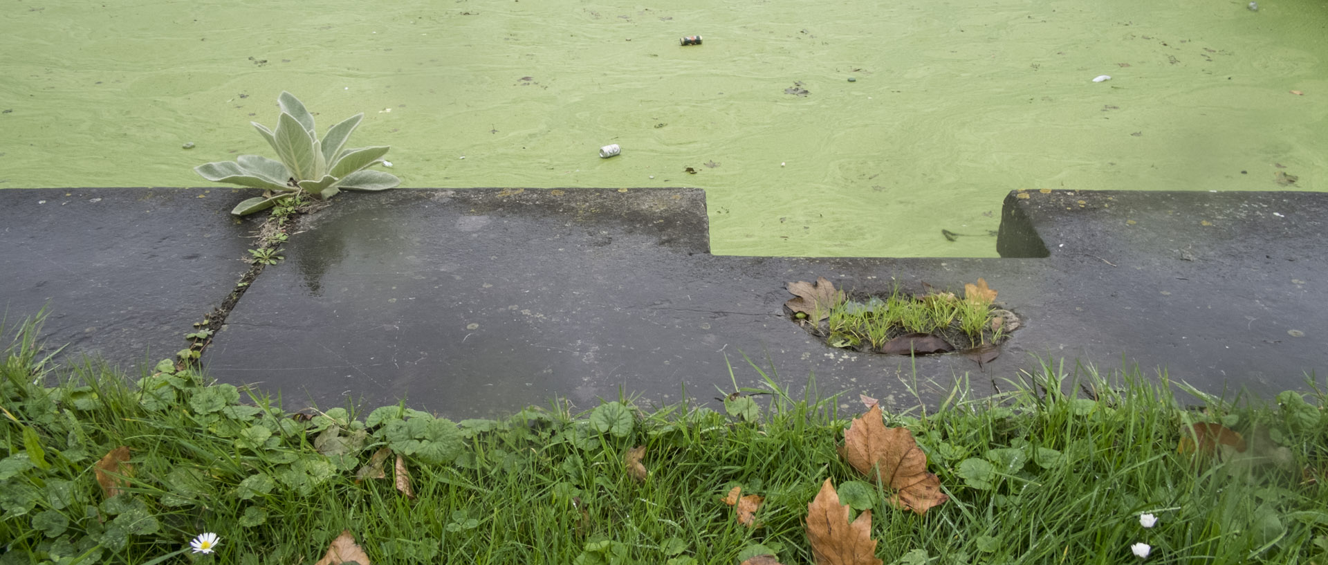 Vendredi 24 octobre 2014, 15:25, canal de Tourcoing