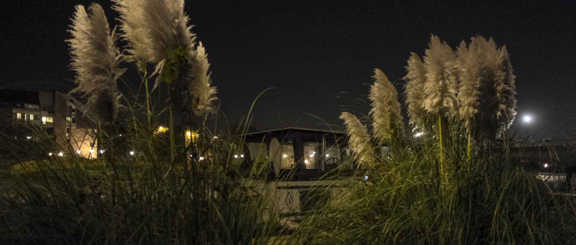 Lundi 10 novembre 2014, 19:19, la Deûle, port de Wambrechies