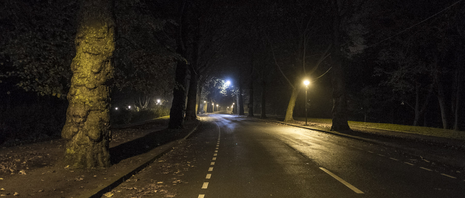 Samedi 15 novembre 2014, 19:29, avenue Le-Nôtre, Roubaix