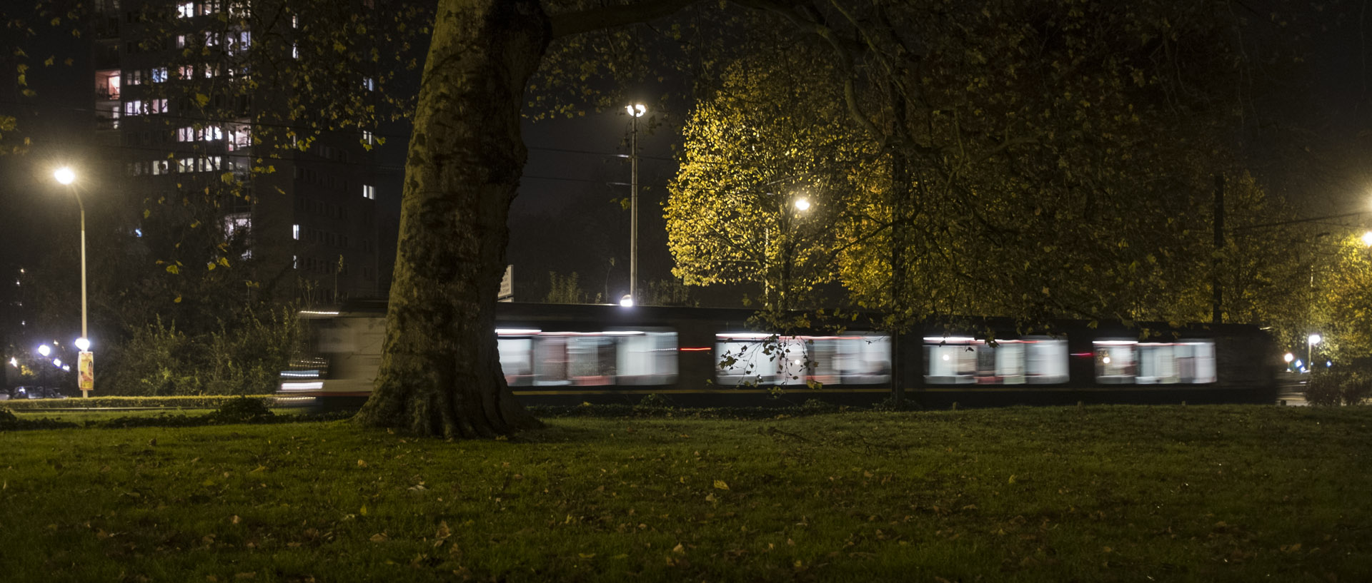 Samedi 15 novembre 2014, 19:36, avenue Le-Nôtre, Roubaix