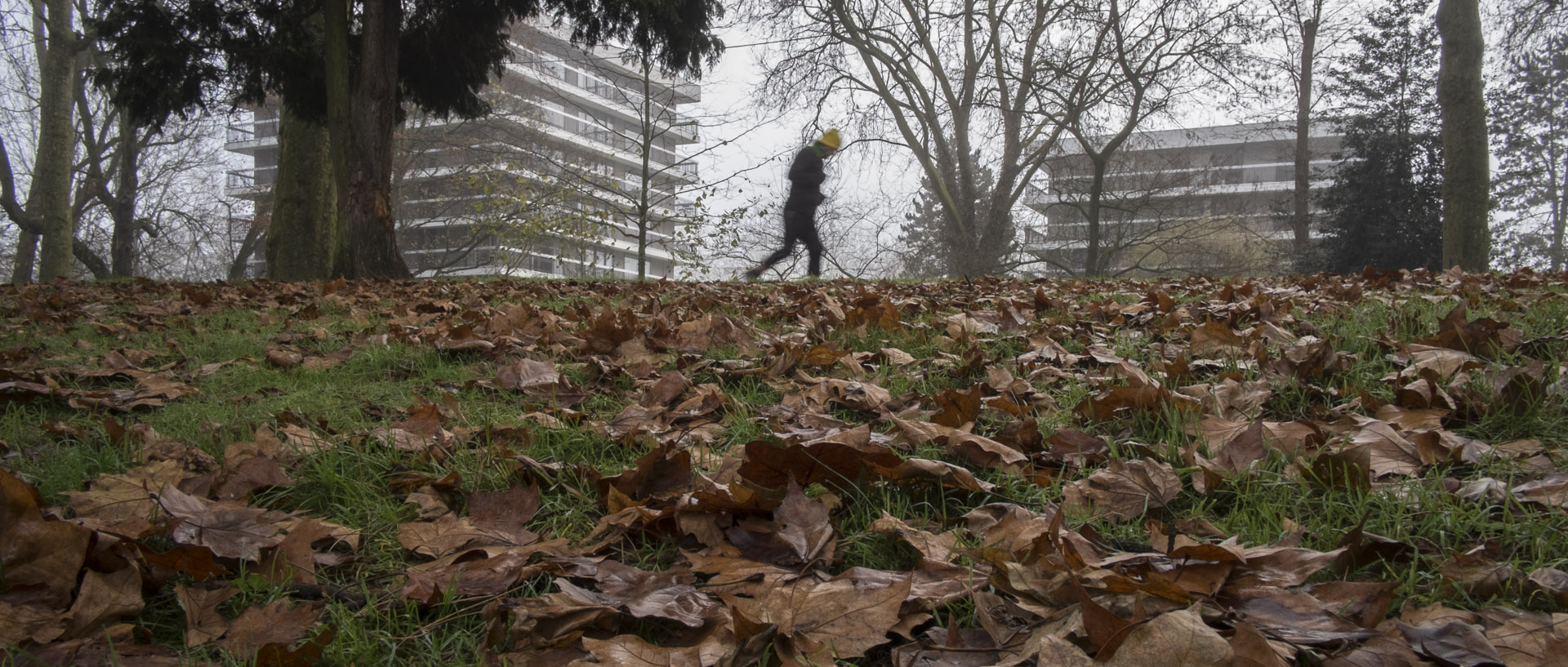 Dimanche 14 décembre 2014, 11:57, parc Barbieux, Roubaix