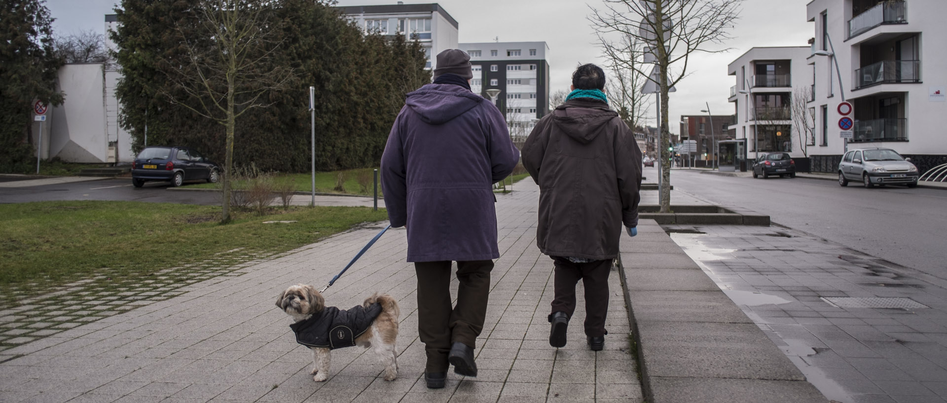 Samedi 10 janvier 2015, 16:47, boulevard Pierre-Mendès-France, Mons en Baroeul