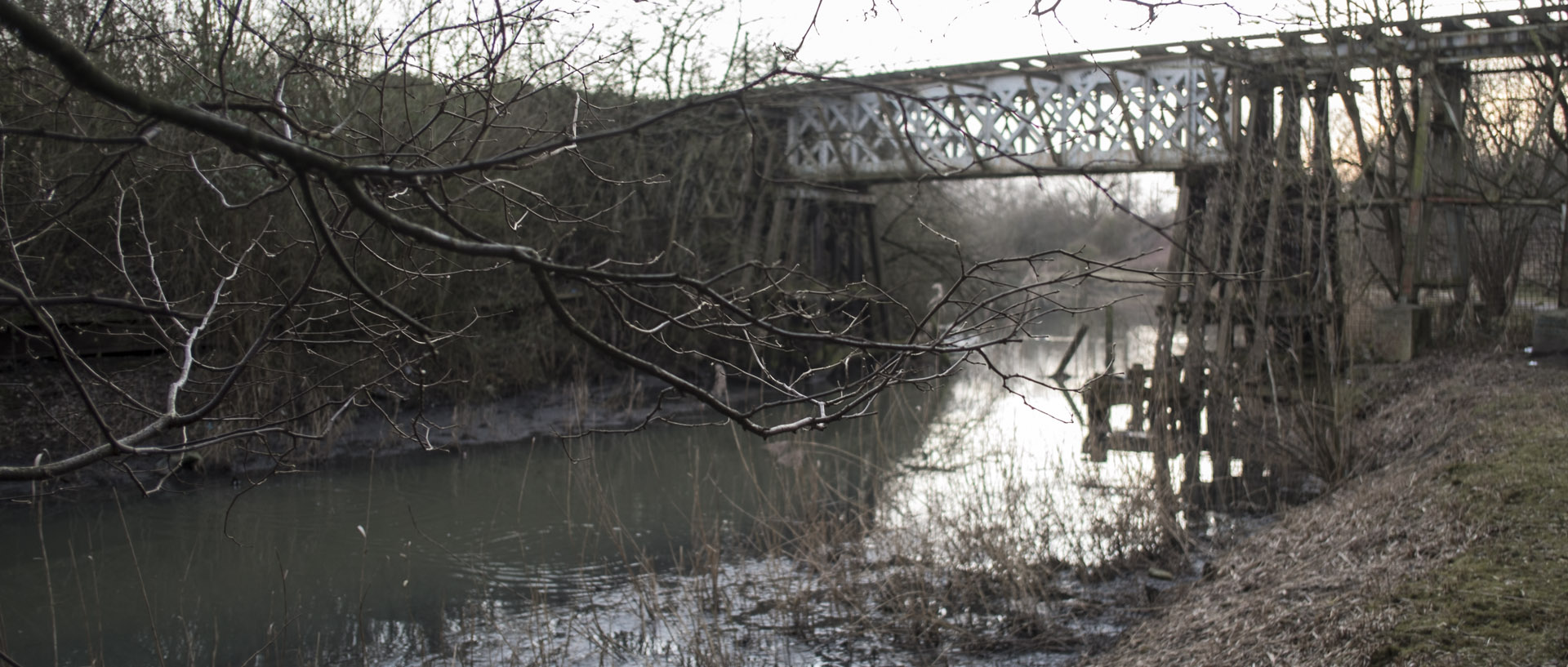 Dimanche 8 février 2015, 17:51, canal de la Marque, Wasquehal