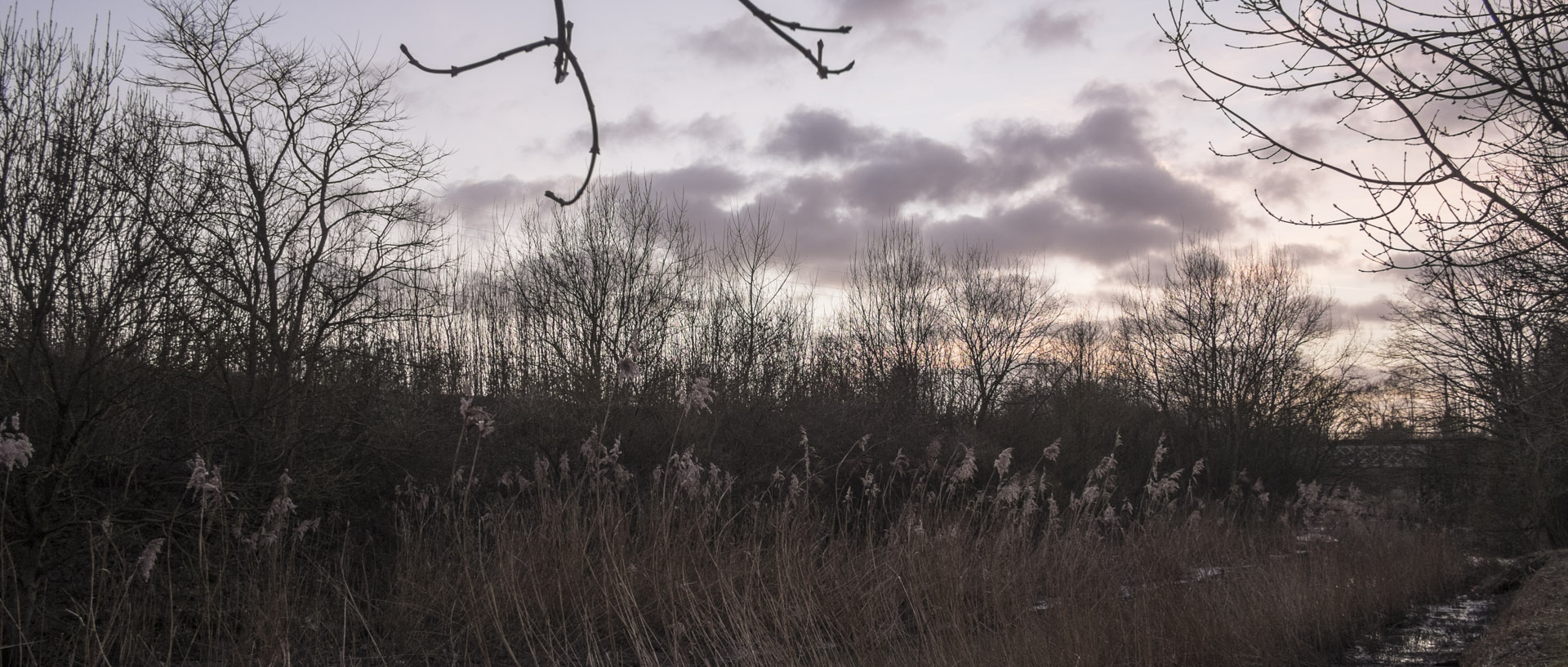 Dimanche 8 février 2015, 18:07, canal de la Marque, Wasquehal