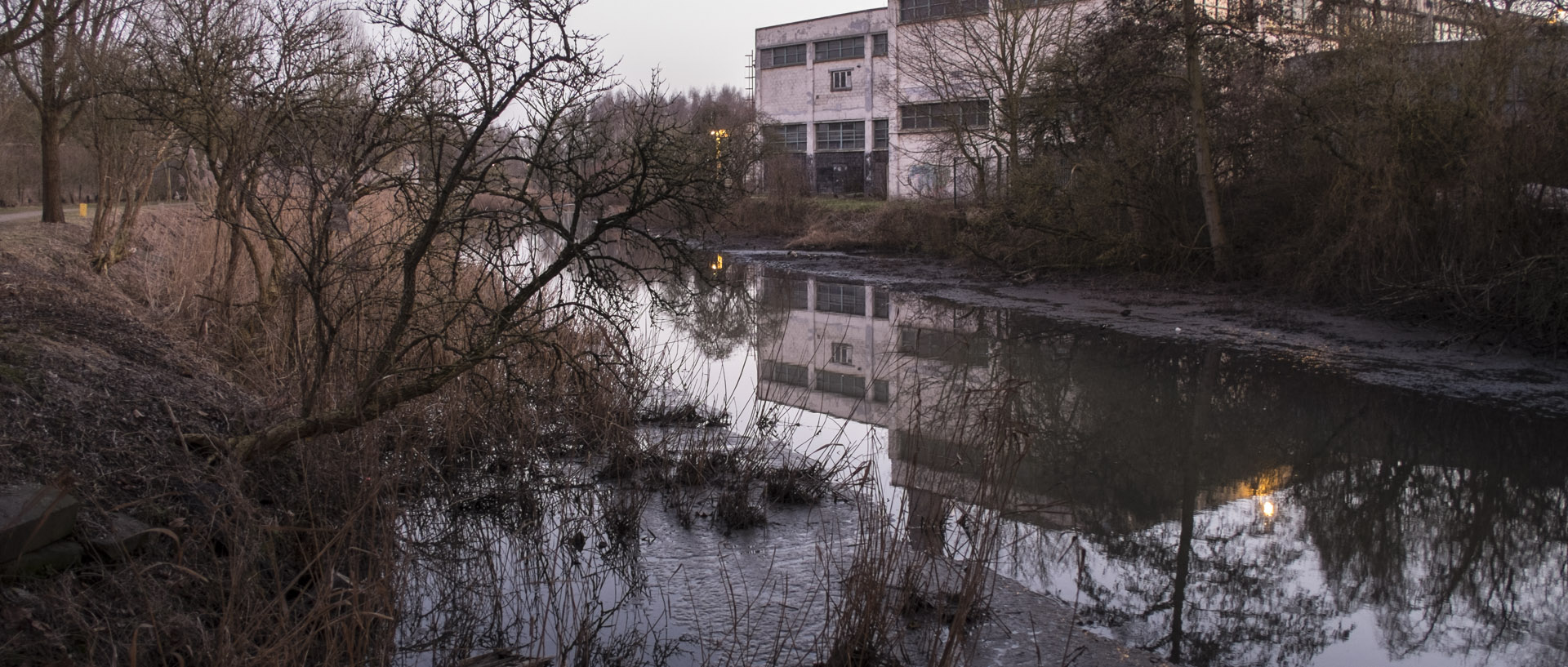 Dimanche 8 février 2015, 18:08, canal de la Marque, Wasquehal