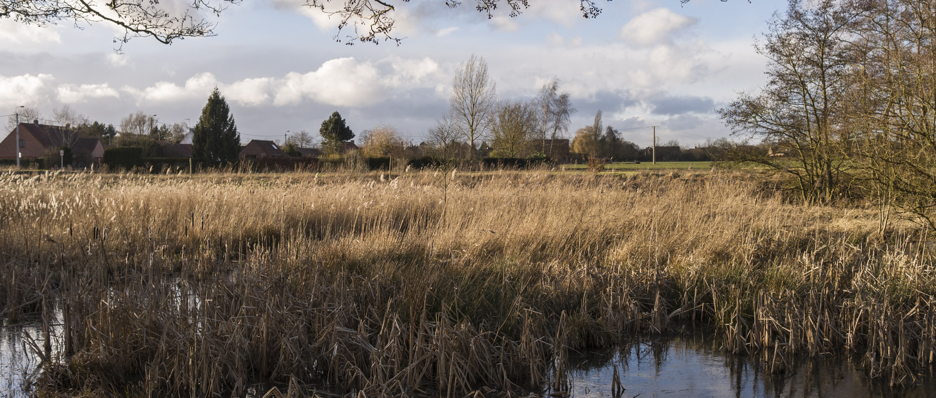 Lundi 23 février 2015, 17:19, marais de la Marque, Péronne en Mélantois