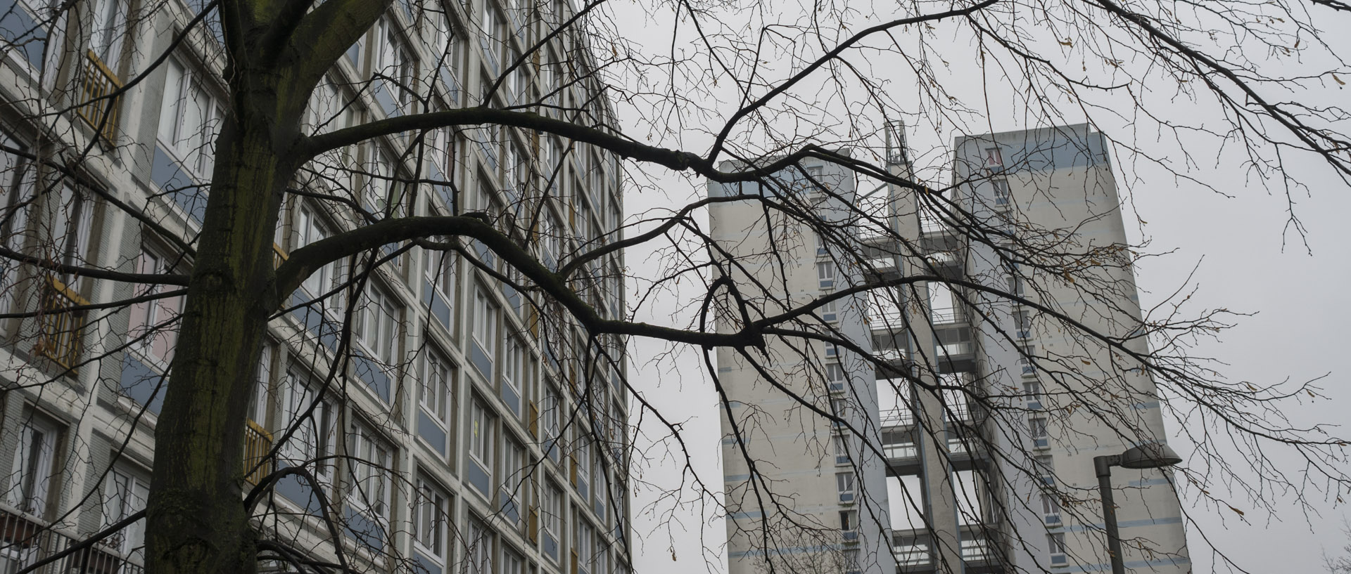 Jeudi 26 février 2015, 15:52, rue Faidherbe, Mons en Baroeul