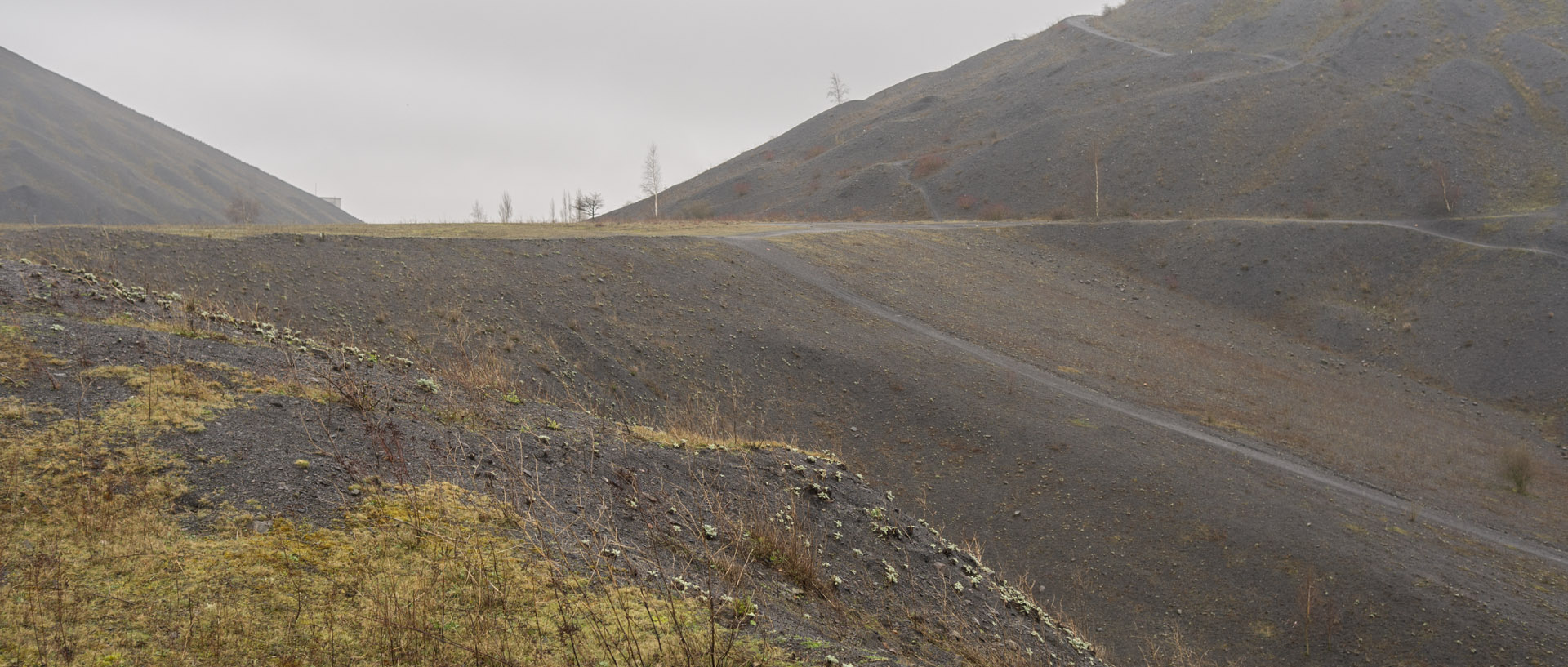 Vendredi 3 avril 2015, 14:56, terrils, Loos en Gohelle