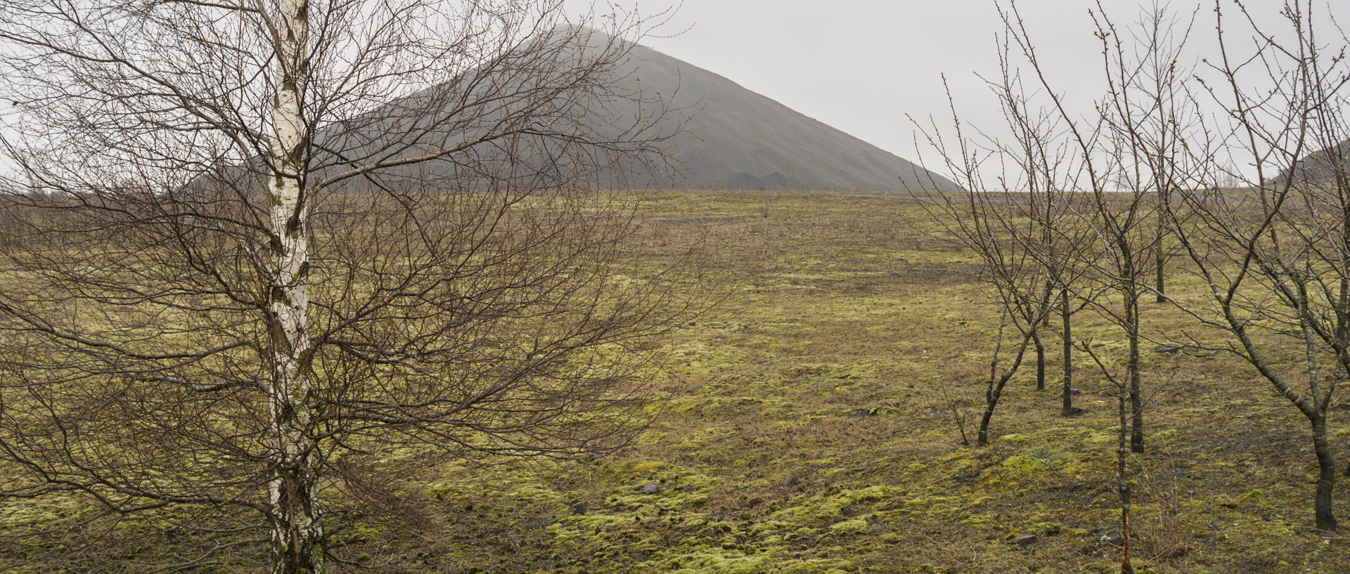 Vendredi 3 avril 2015, 14:59, terrils, Loos en Gohelle