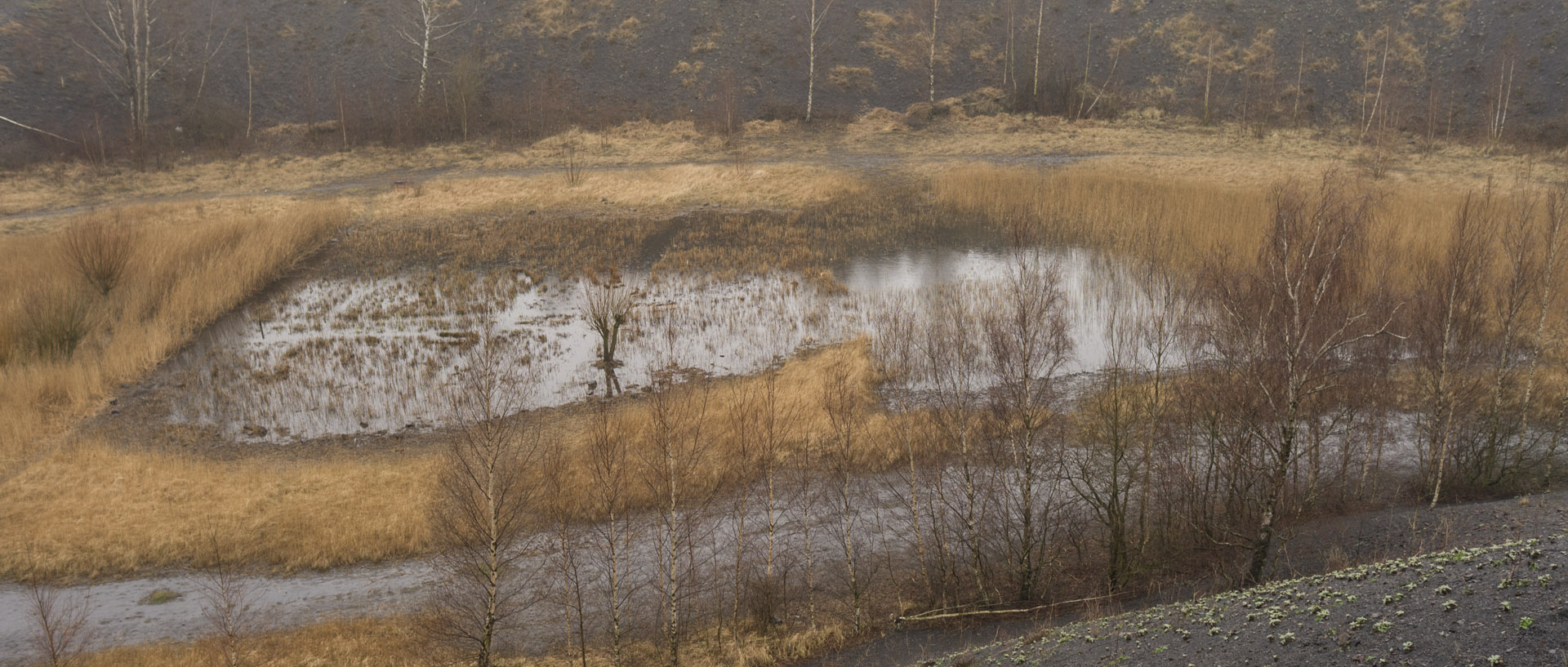 Vendredi 3 avril 2015, 15:12, terrils, Loos en Gohelle